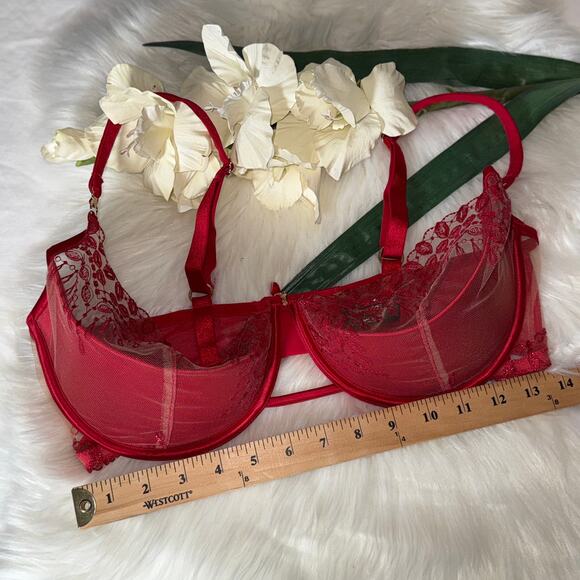 Honey Birdette 36H Red Embroidered Mesh Balcony Bra Cage Detail Missing Chain - Picture 16 of 16